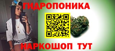 a pvp Чапаевск