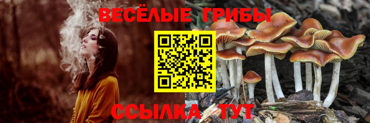 Псилоцибиновые грибы мухоморы  Галлюциногенные грибы Magic Shrooms  Вход с VPN  купить   Москва 